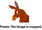 Cropped image