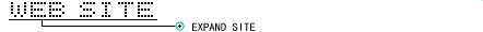 Web Site