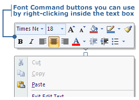 Font commands in the Formatting Menu